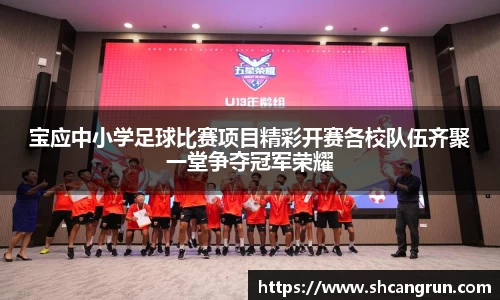宝应中小学足球比赛项目精彩开赛各校队伍齐聚一堂争夺冠军荣耀