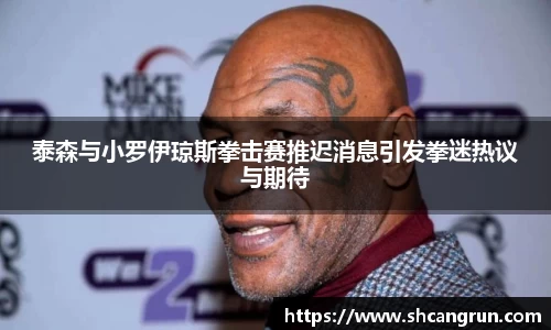 泰森与小罗伊琼斯拳击赛推迟消息引发拳迷热议与期待