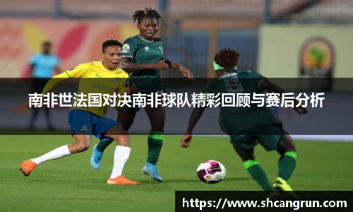南非世法国对决南非球队精彩回顾与赛后分析