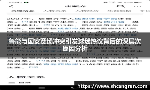 鲁能与国安赛场冲突引发球迷热议背后的深层次原因分析