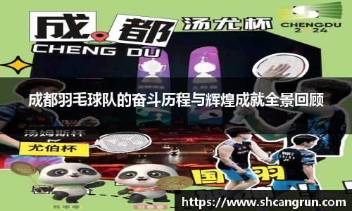 成都羽毛球队的奋斗历程与辉煌成就全景回顾